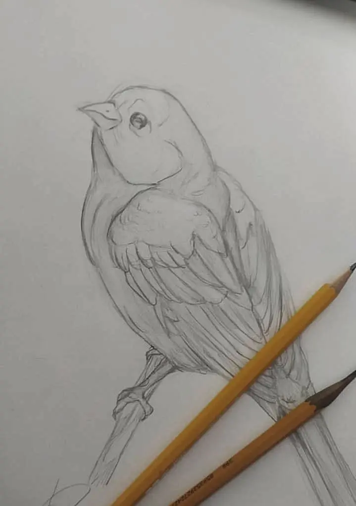 Приклад роботи учня групових уроків Дарії, 15 років