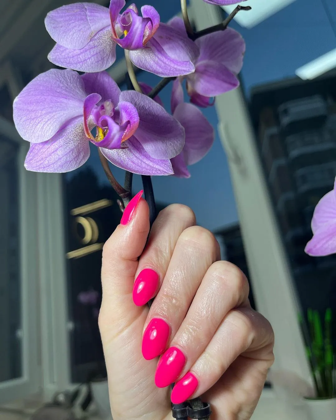 Kombinovana tehnika noktiju Victory Kozmetički salon Banja Luka