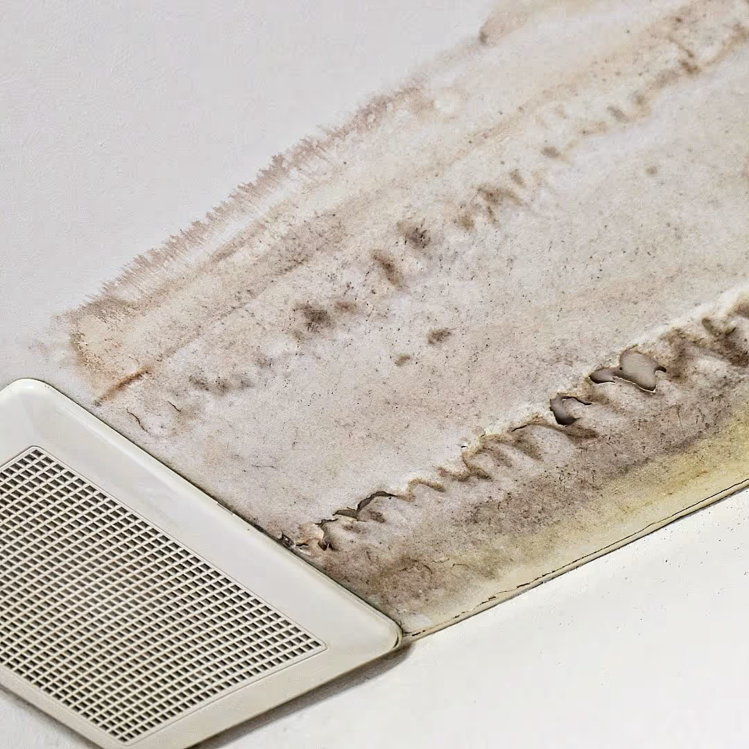 Ceiling vent next to a large area of water damage and mold on the ceiling.