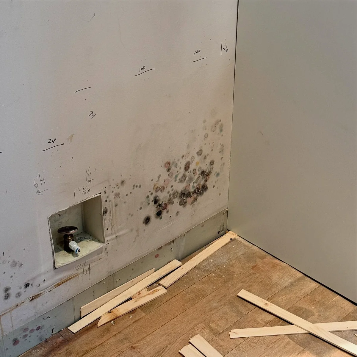 Mold growth on a wall corner near plumbing with scattered wood strips on wooden floor.