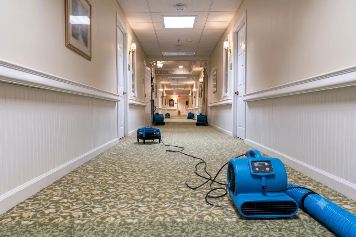 Long hallway with blue air dryers on patterned carpet for commercial water removal.