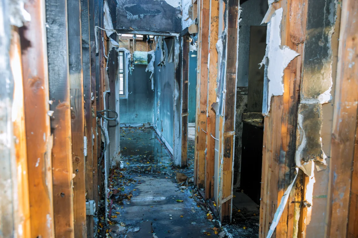 Interior hallway of a burnt house with charred walls, exposed wooden studs, and debris on the floor.