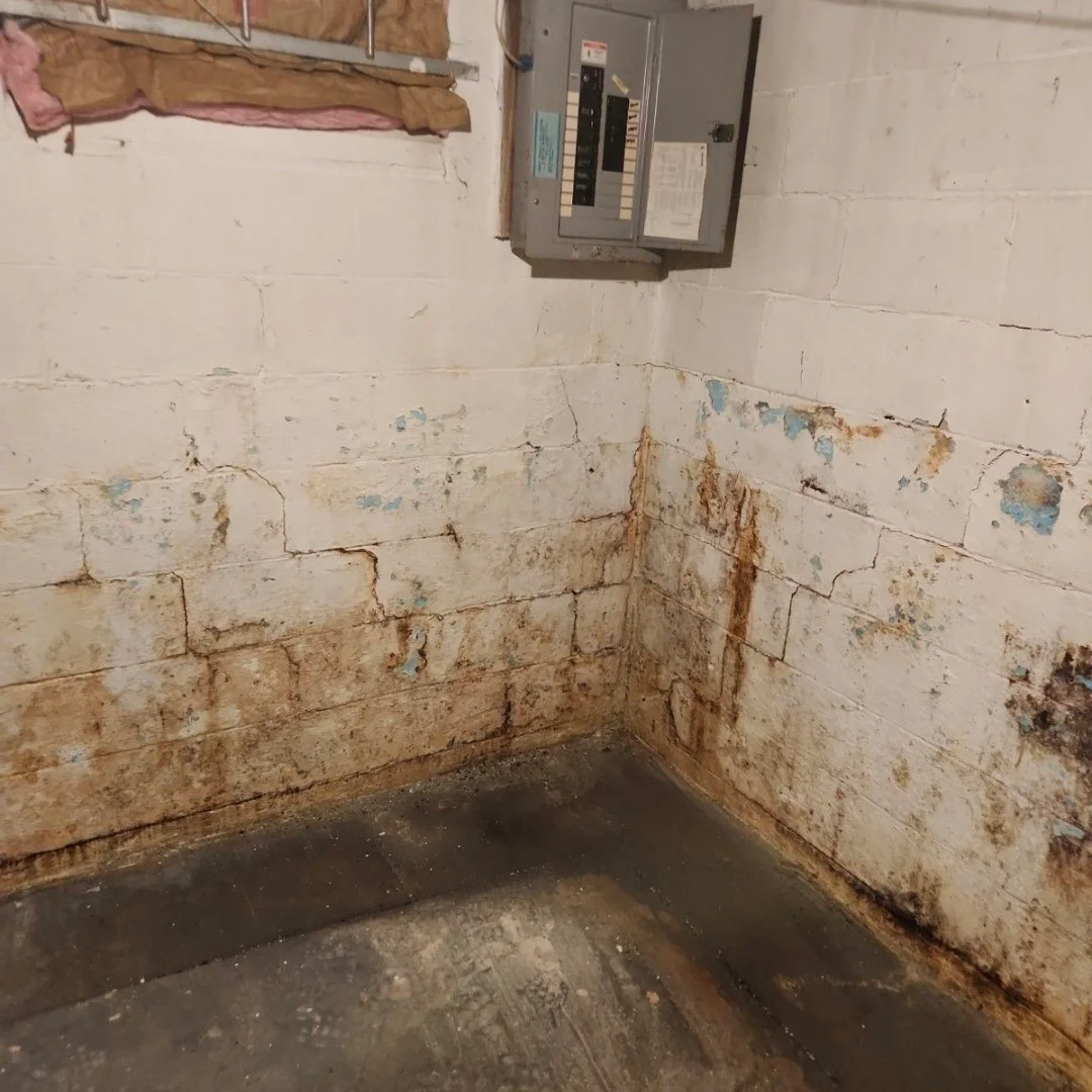 Basement corner with mold and water damage on white concrete block walls and floor.