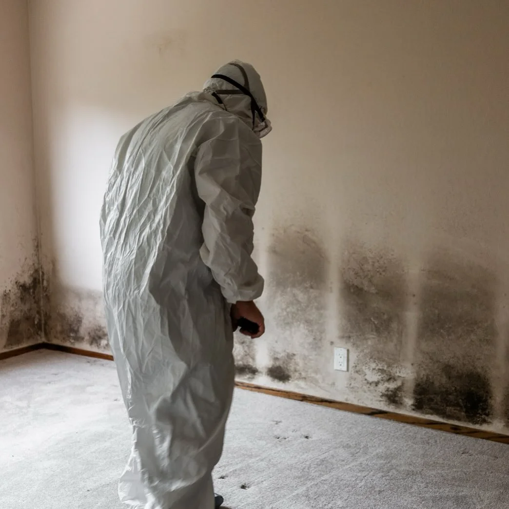 Person in white protective suit inspecting mold growth on beige walls and carpet in empty room.