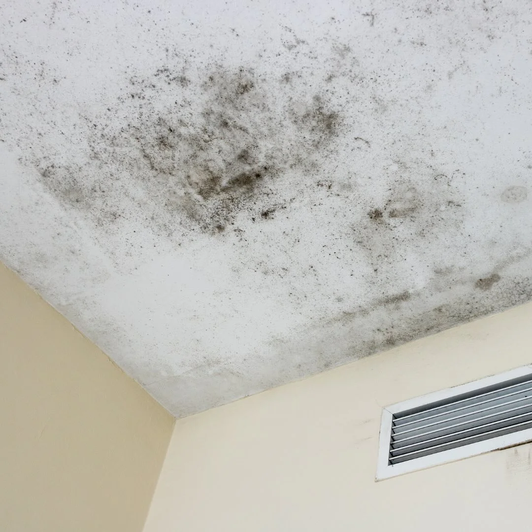 Ceiling corner with black mold spots and a ventilation grate on the beige wall below.