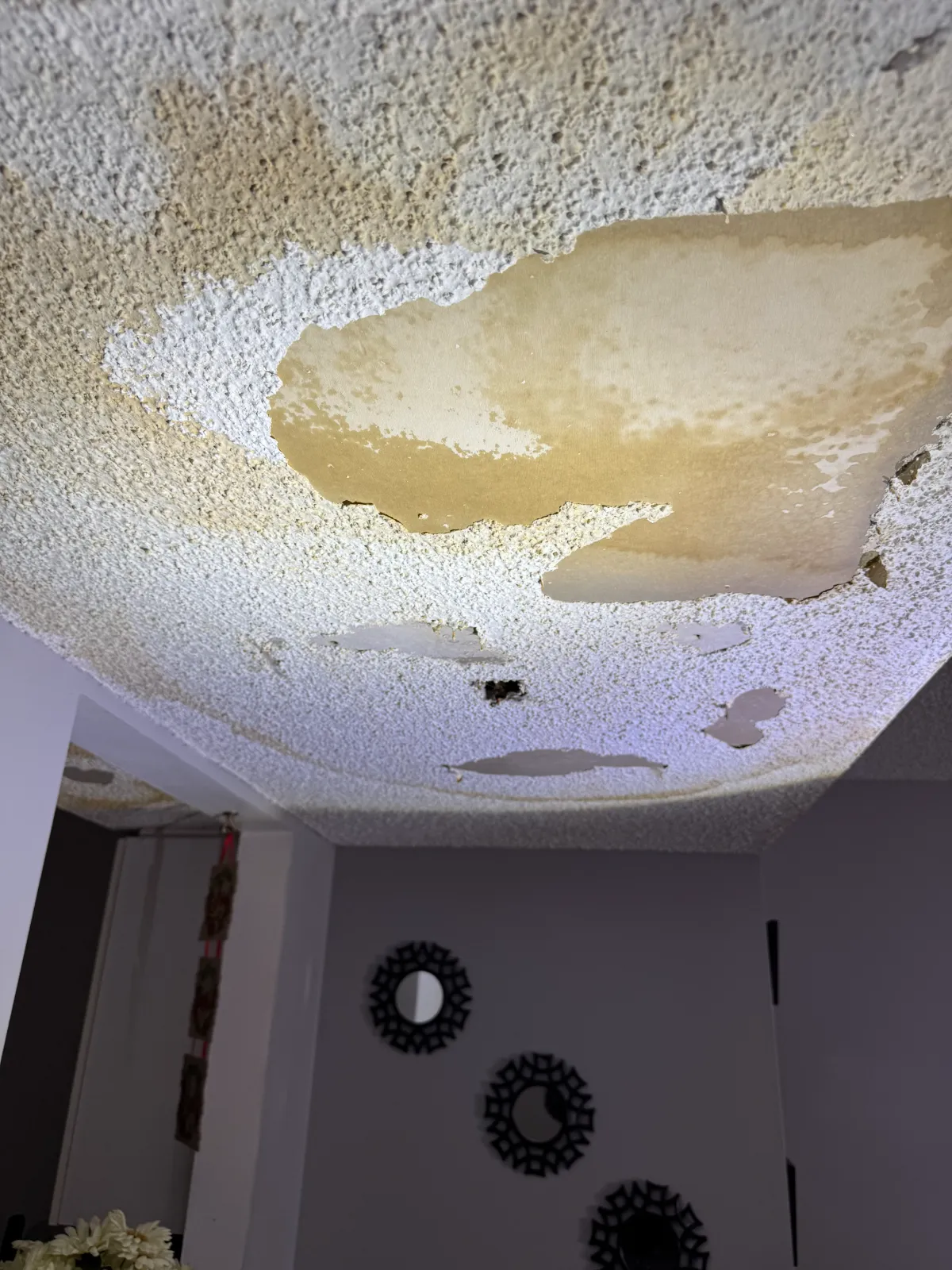 Ceiling with peeling paint and large water stains indicating ceiling water damage.