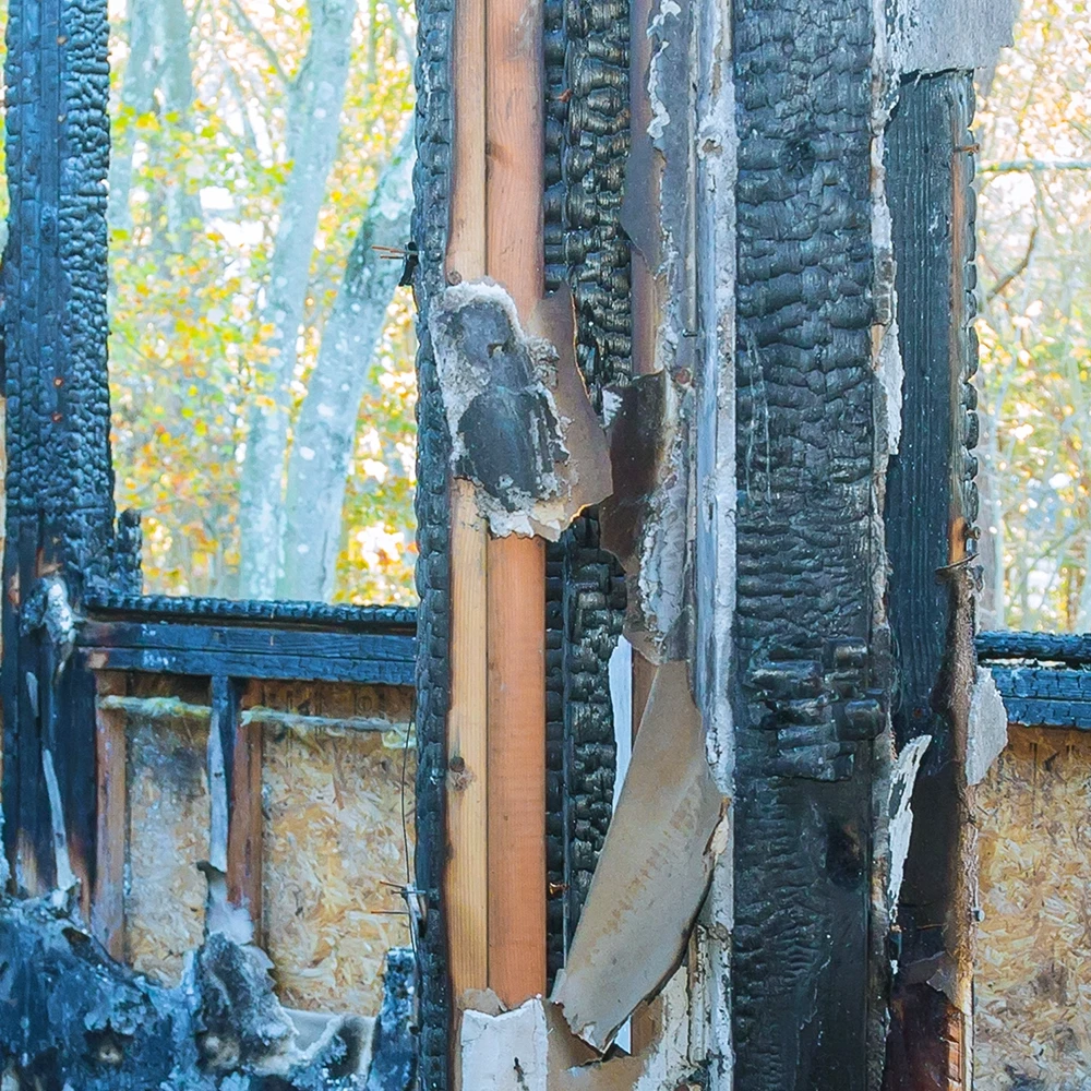 Close-up of charred and burnt wooden beams with peeling plaster, outdoors with trees in background.