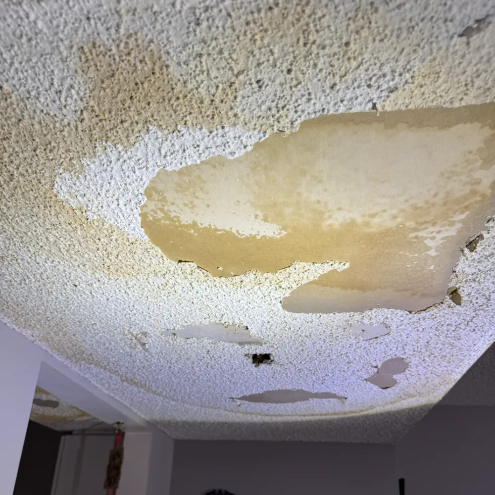 Ceiling with peeling paint and water damage stains on textured surface in an indoor room.