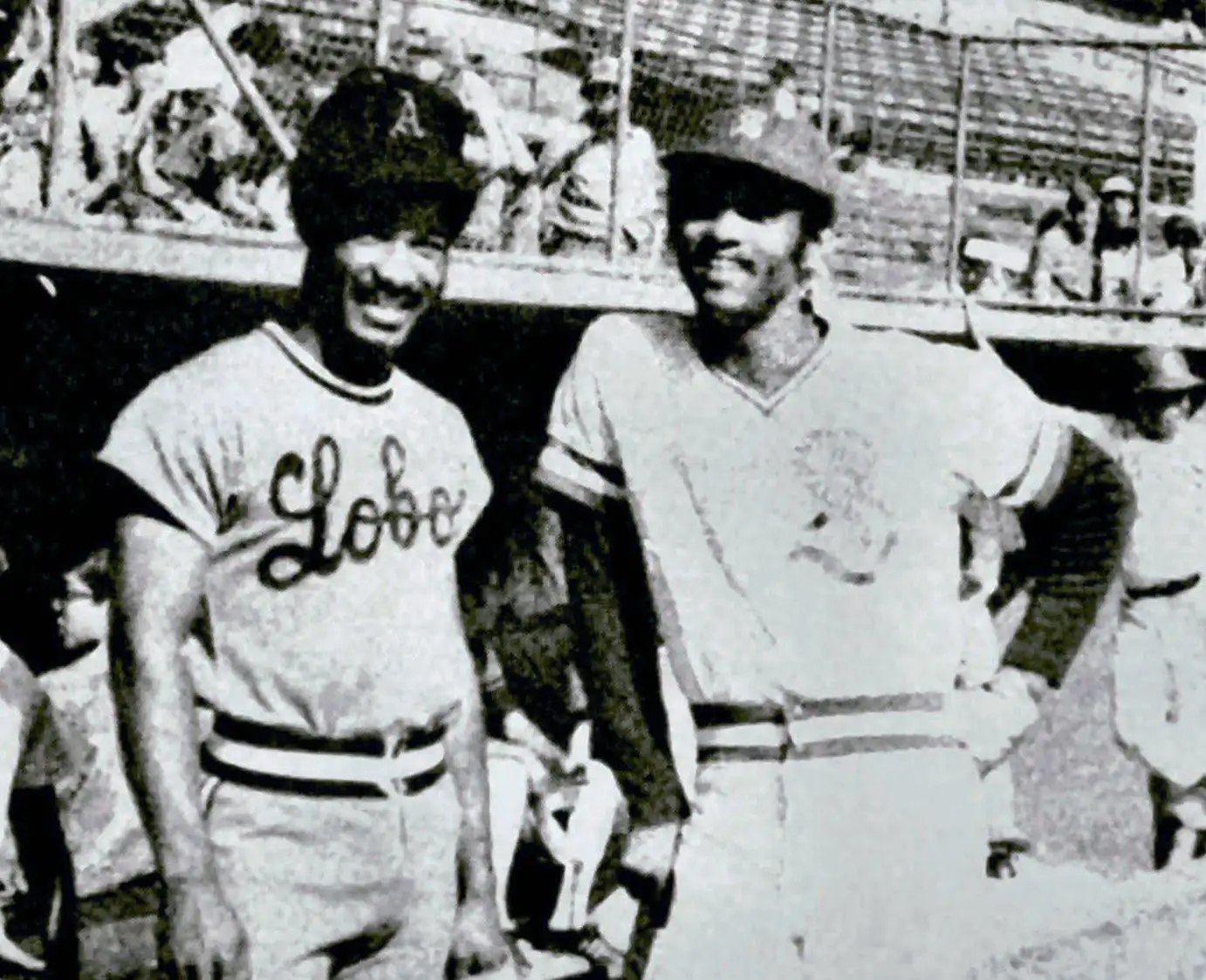 José “Pepe” Mangual Guilbe en uniforme de los Lobos de Arecibo y Ángel “Cuqui” Mangual Guilbe, con el uniforme de los Cangrejeros de Santurce en una de sus temporadas en el béisbol profesional de Puerto Rico en la década de los setenta.