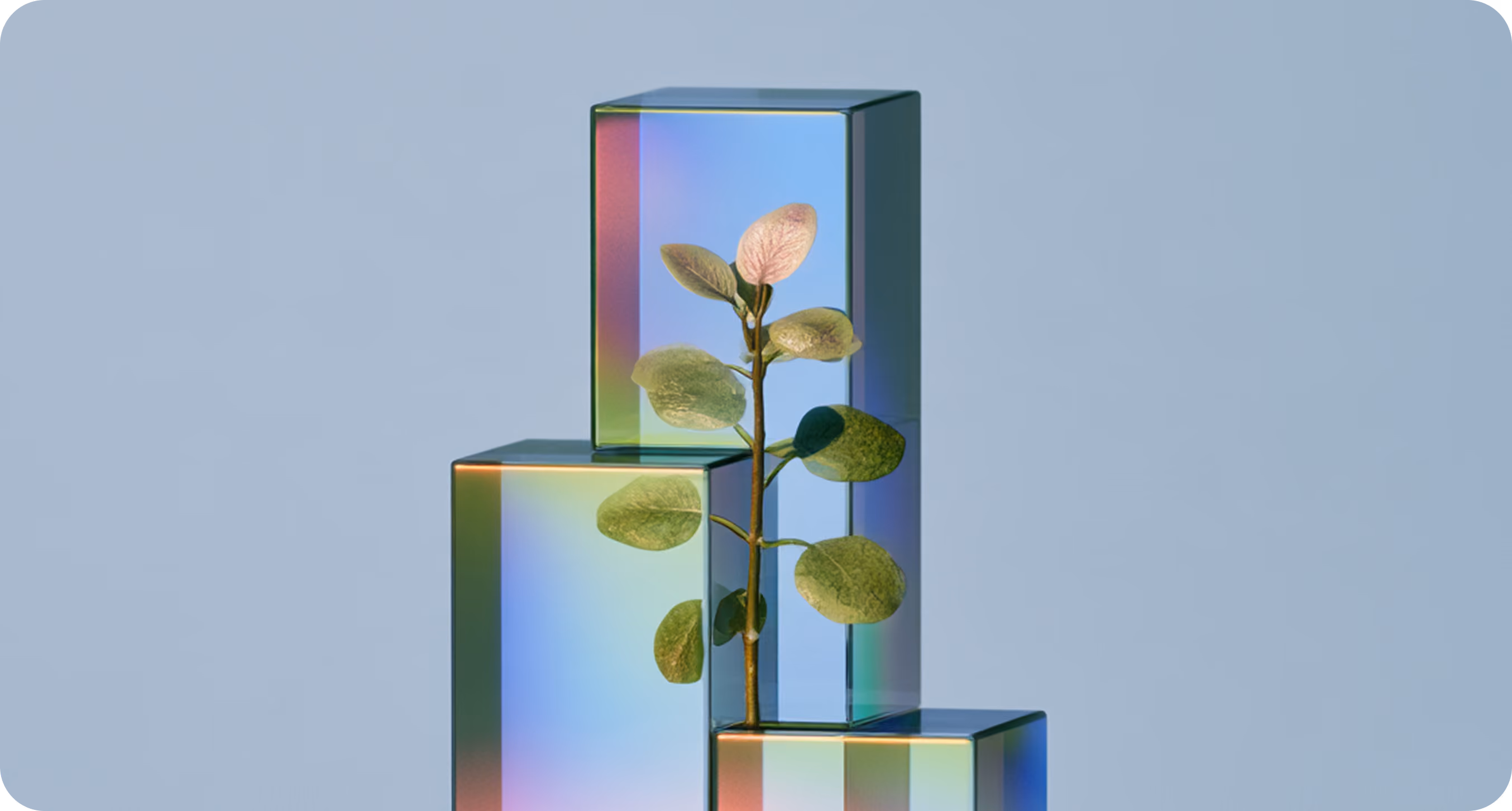 Illustration Innovation - Private equity