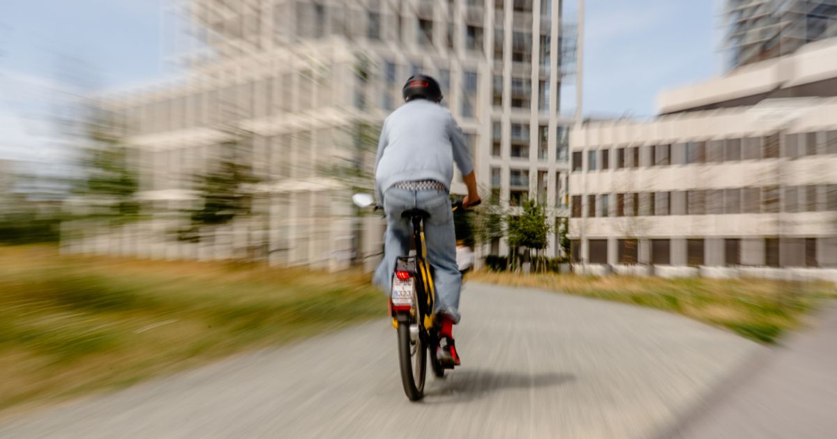 Meet Ellio Rider Bart