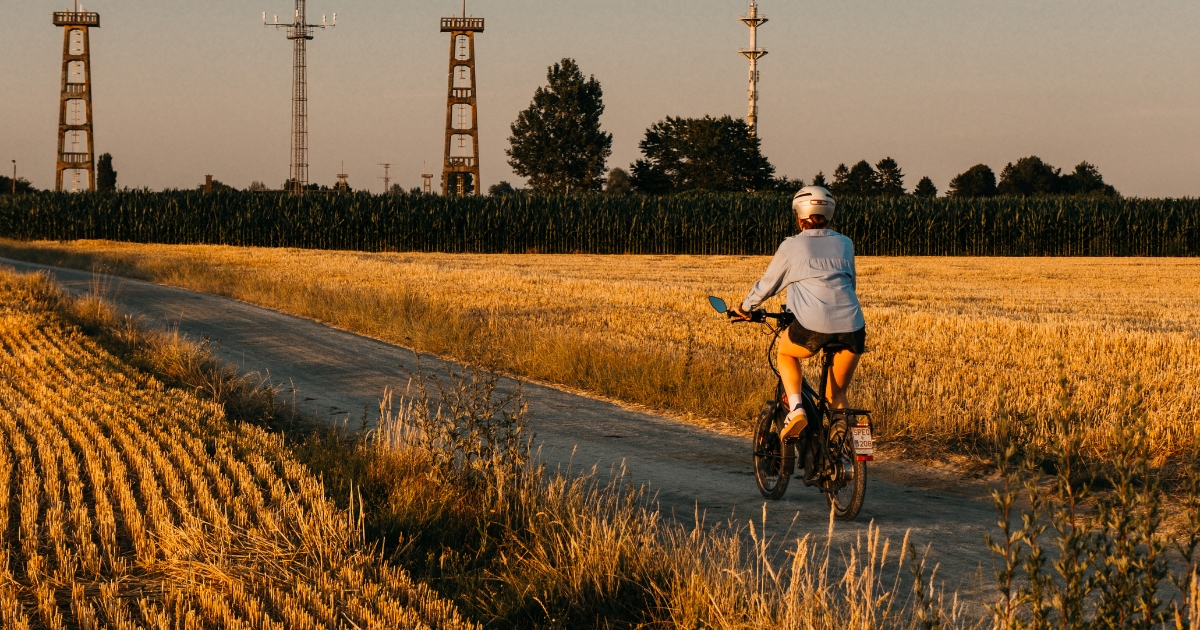Meet Ellio Rider Silke