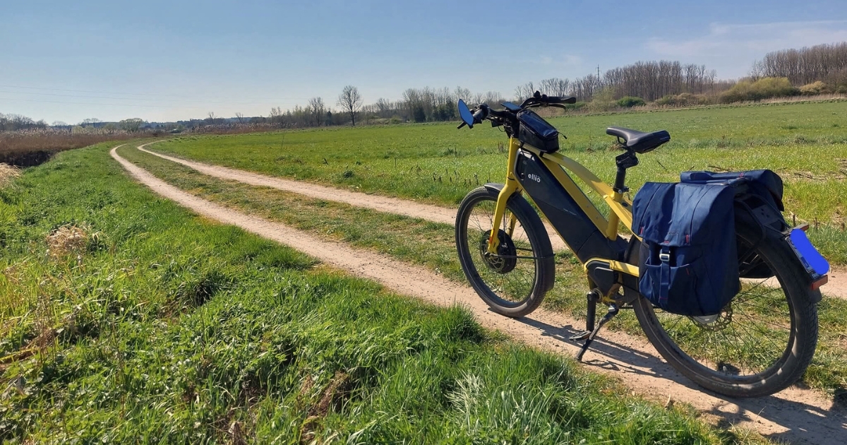 Meet Ellio Rider Seppe