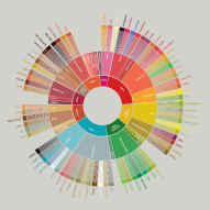 Historias y claves del café