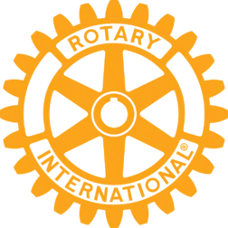 Indian Institute of public health logo