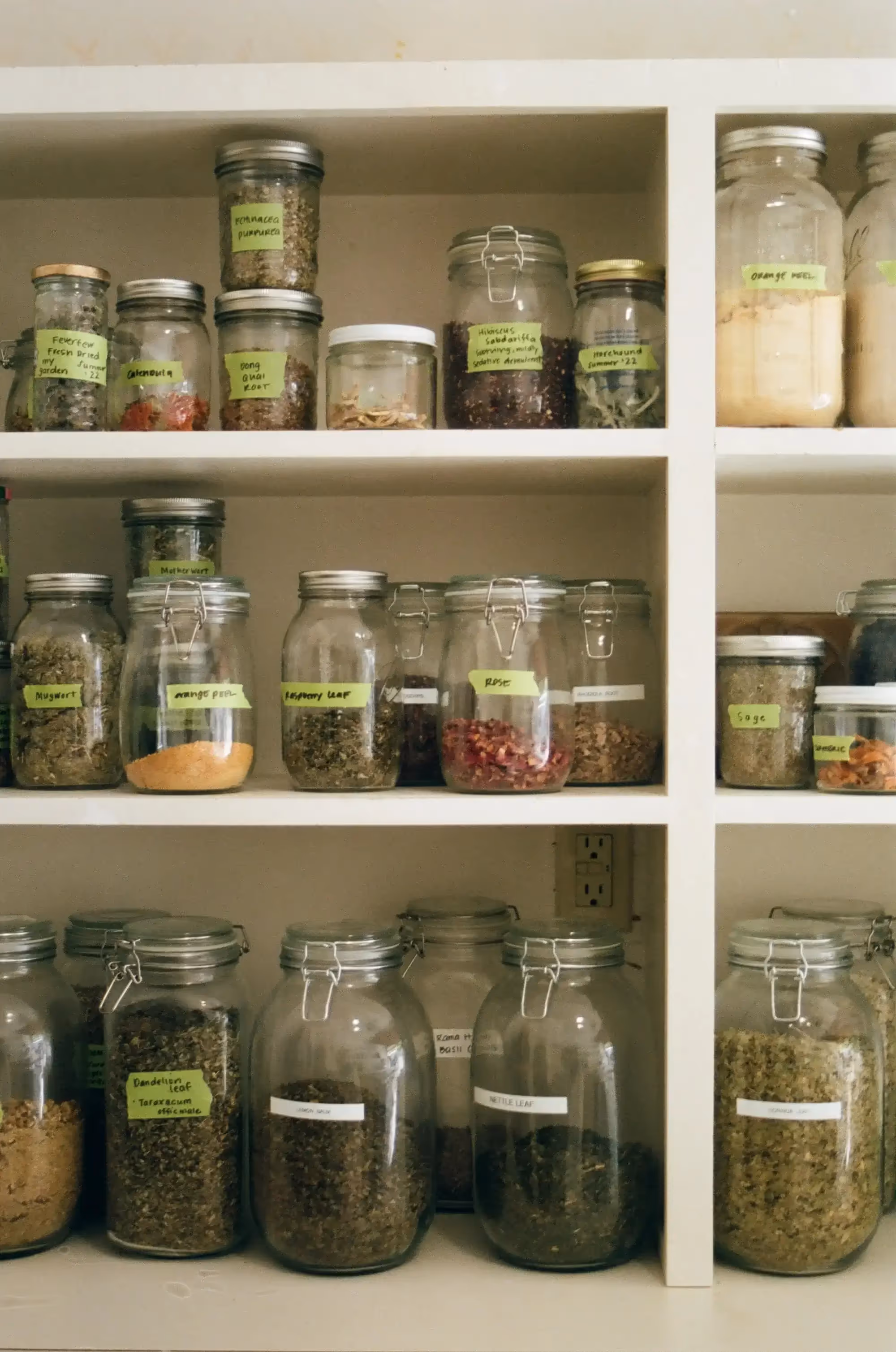 Inside herbalist Leah Cabardo's workspace