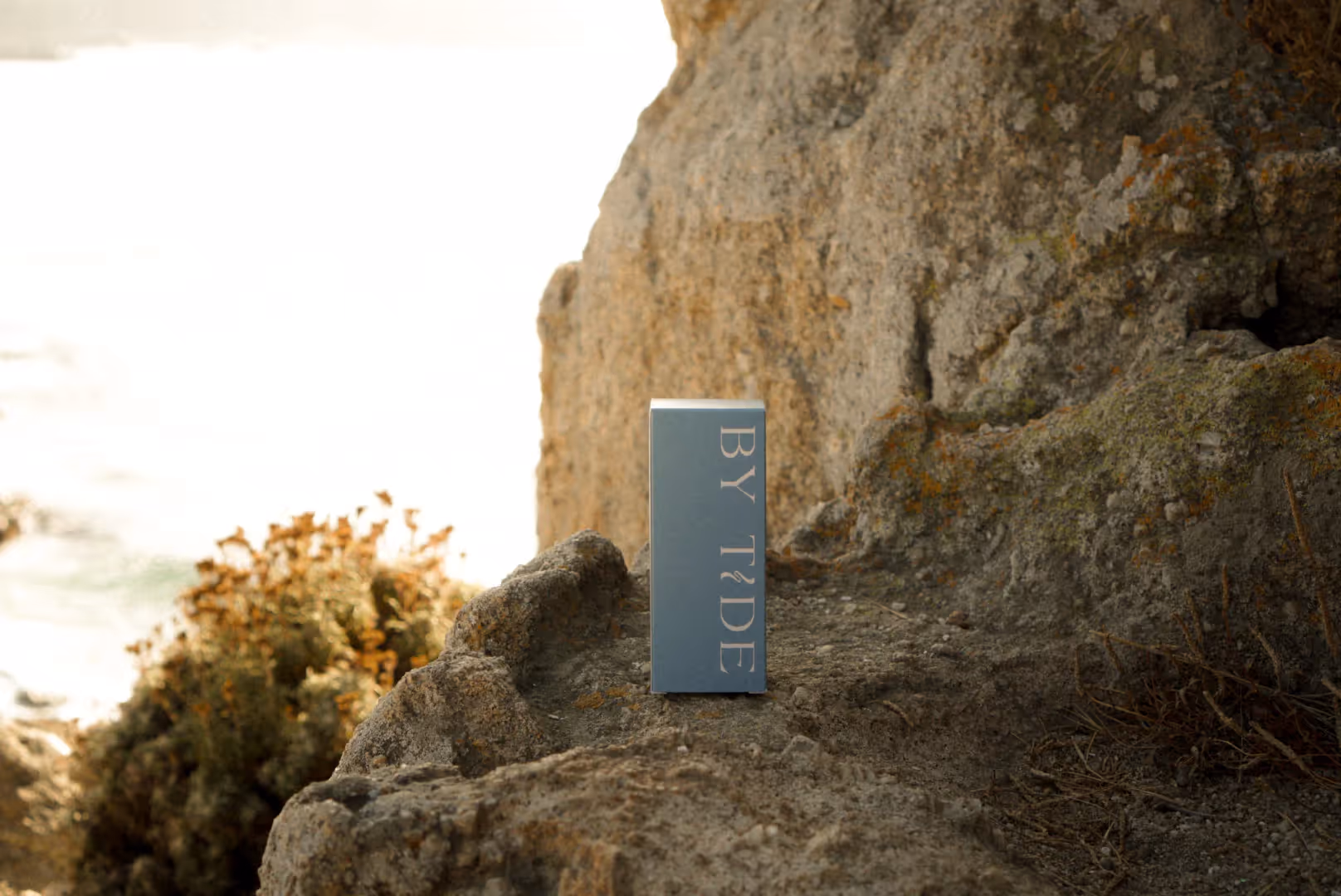 BY TIDE seasonal soap crafted in Carmel California