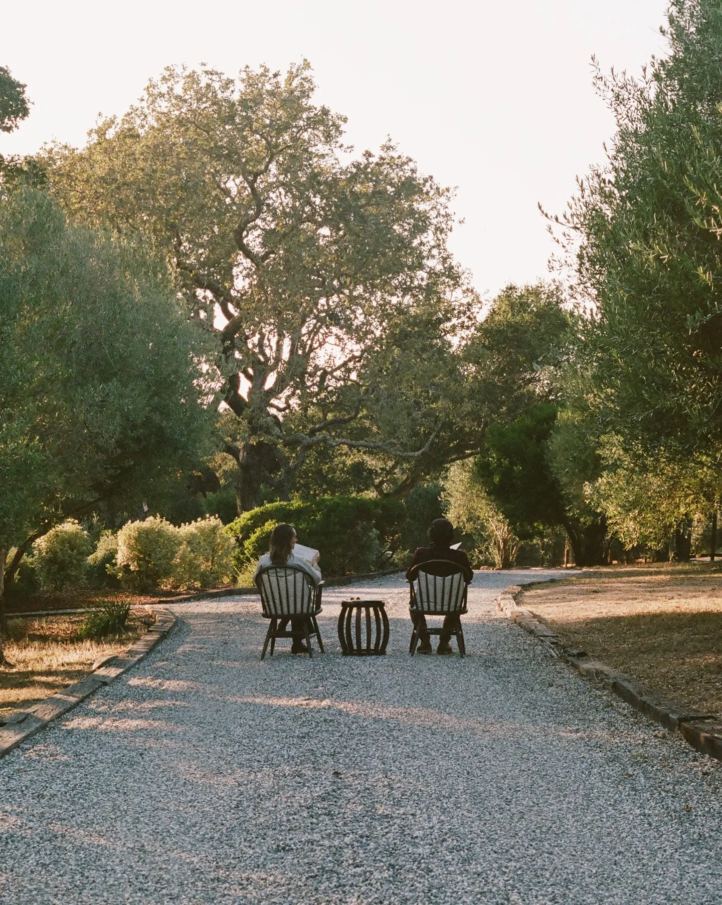 neighbors sitting in chairs outside