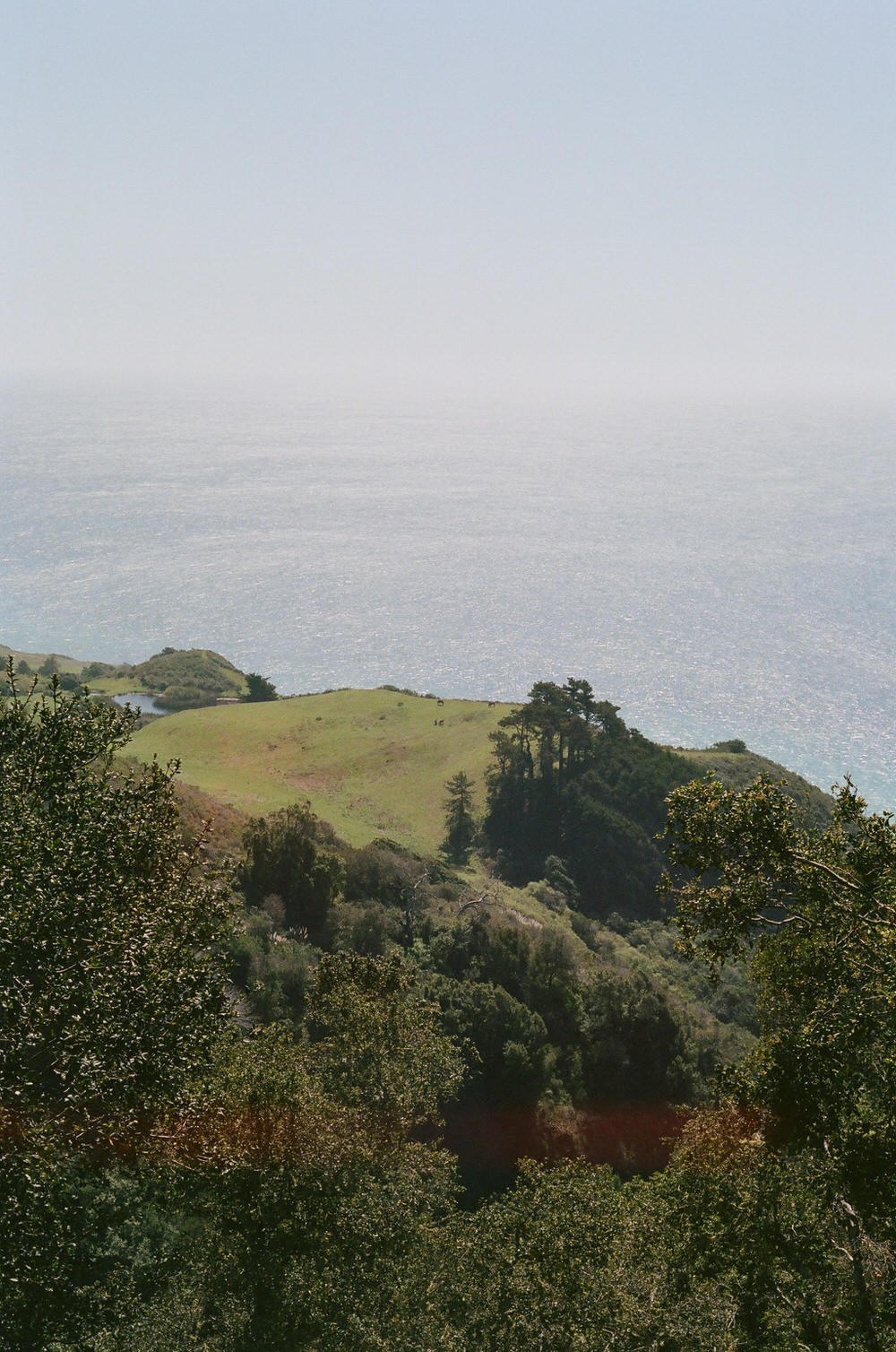 Coastal View