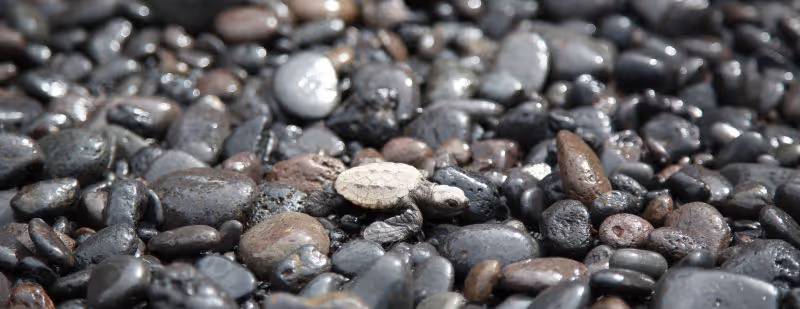 Cobbles & Rip Rap riverside