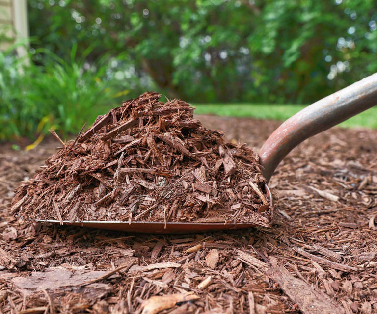 What Type of Mulch Works Best for Residential & Commercial Landscaping?