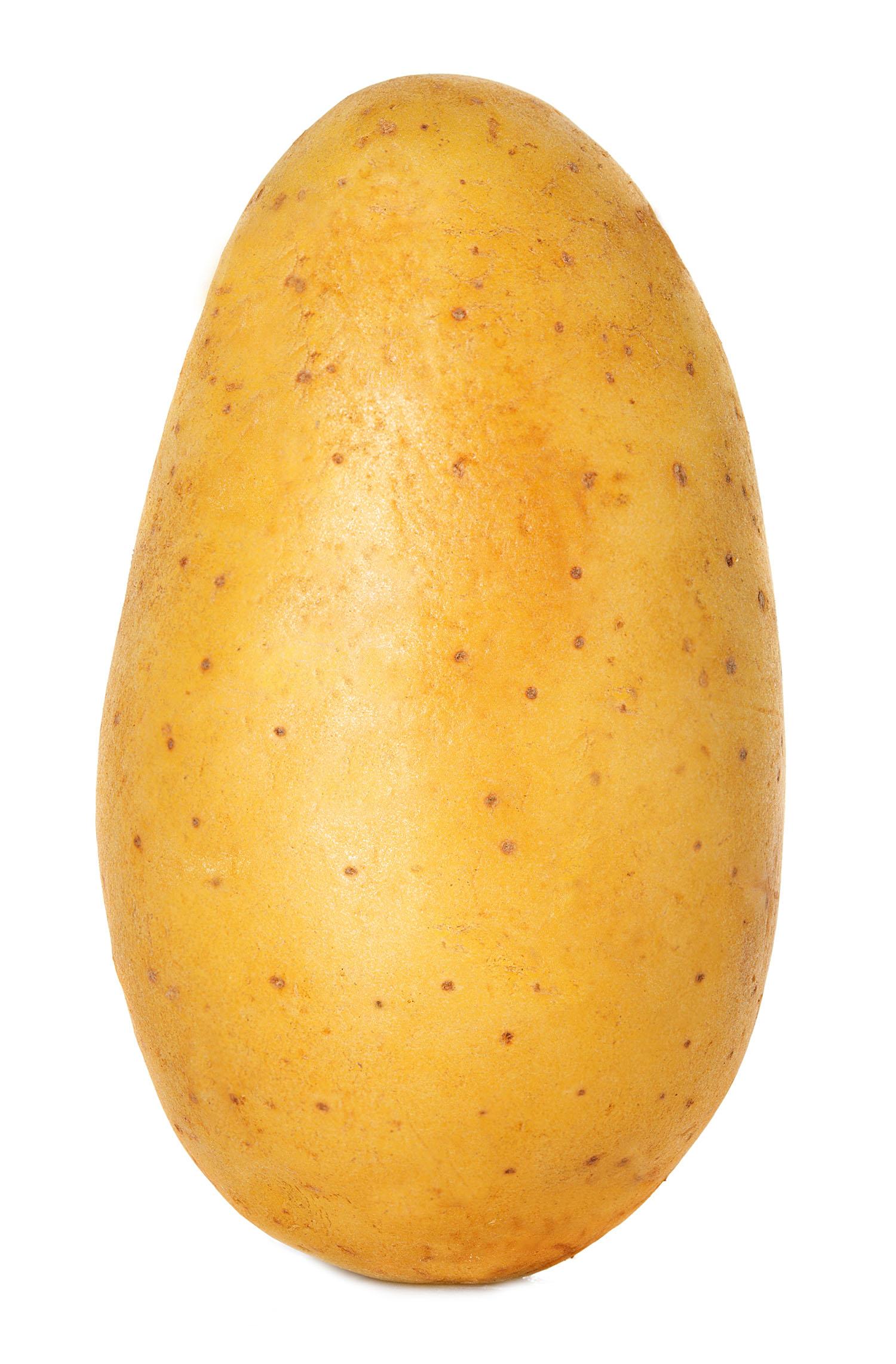 Kartoffeln SGG Waser AG