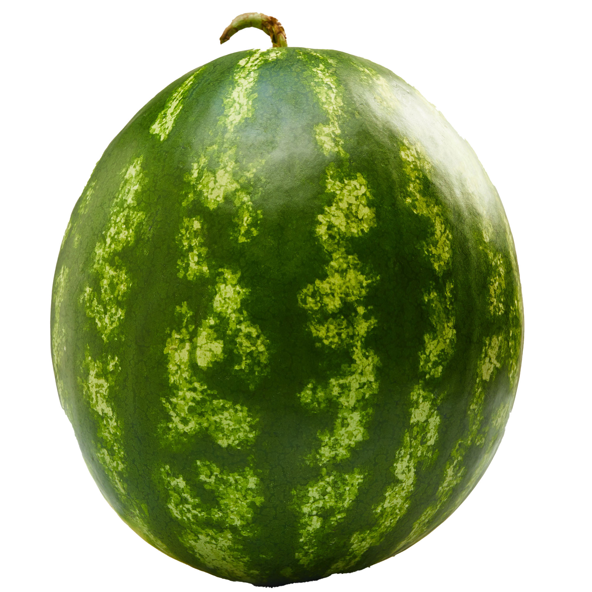 Wassermelone SGG Waser AG