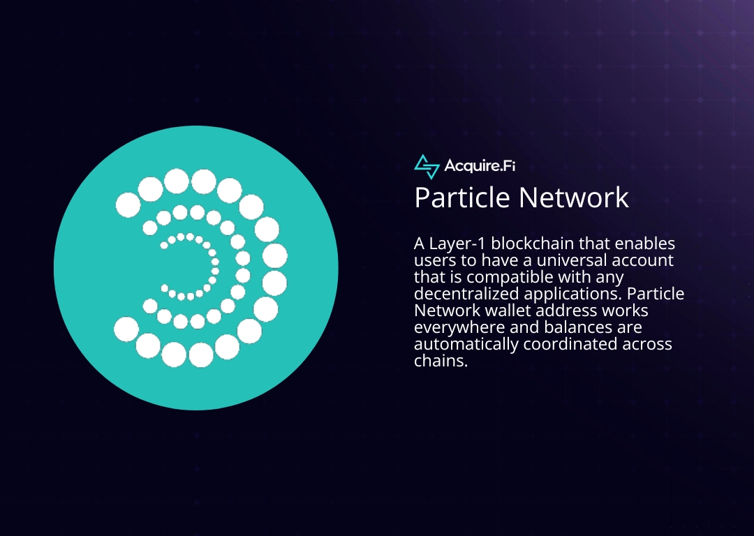 what is Particle Network
