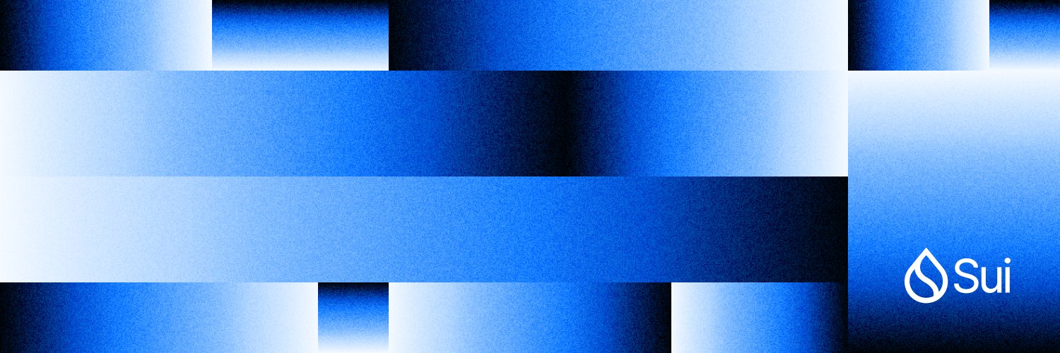 sui cover image