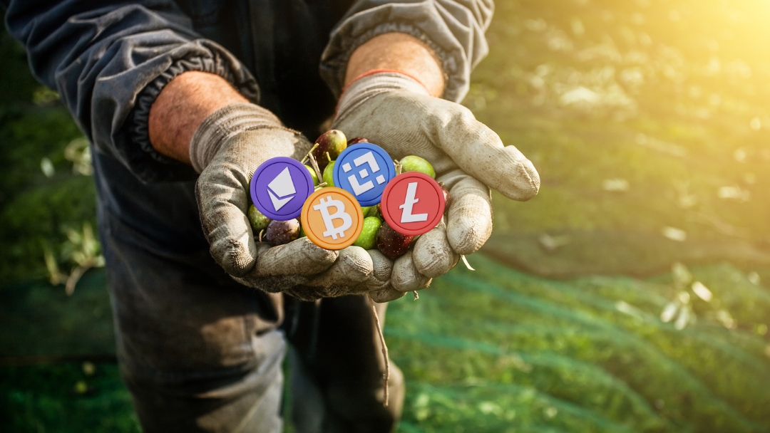 685414d2c7ef19d70bfa2393_What%20is%20Crypto%20Farming