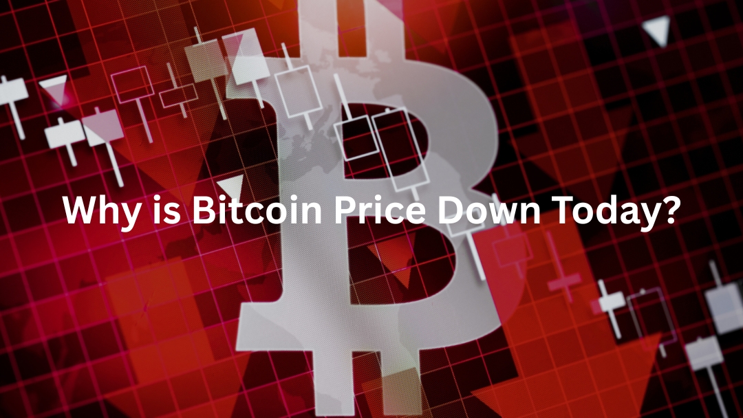 685a5733c3c225525678f763_Why%20is%20Bitcoin%20Price%20Down%20Today