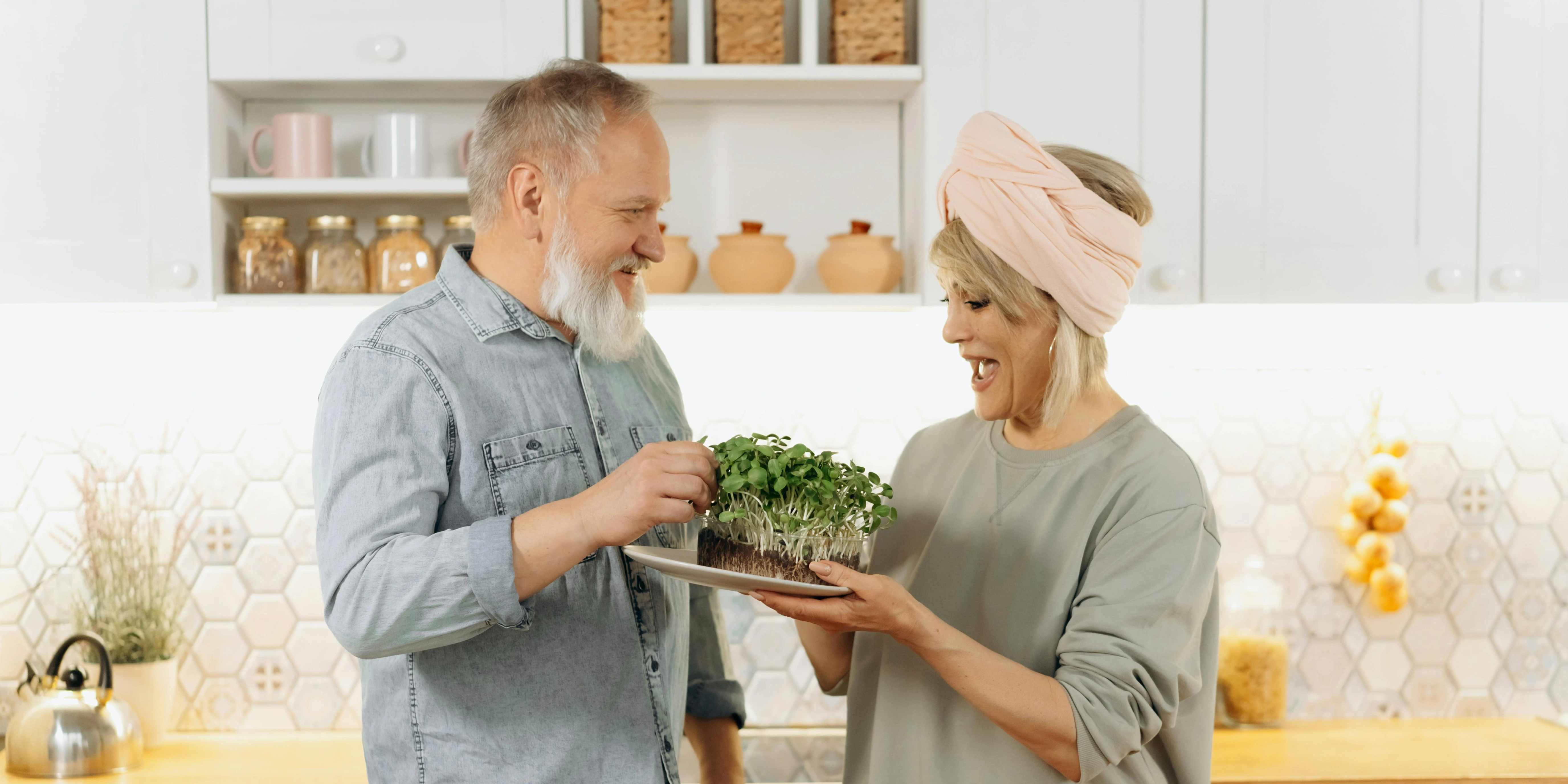 Migration and rebuild ADA’s Food Hub into a Drupal multisite platform