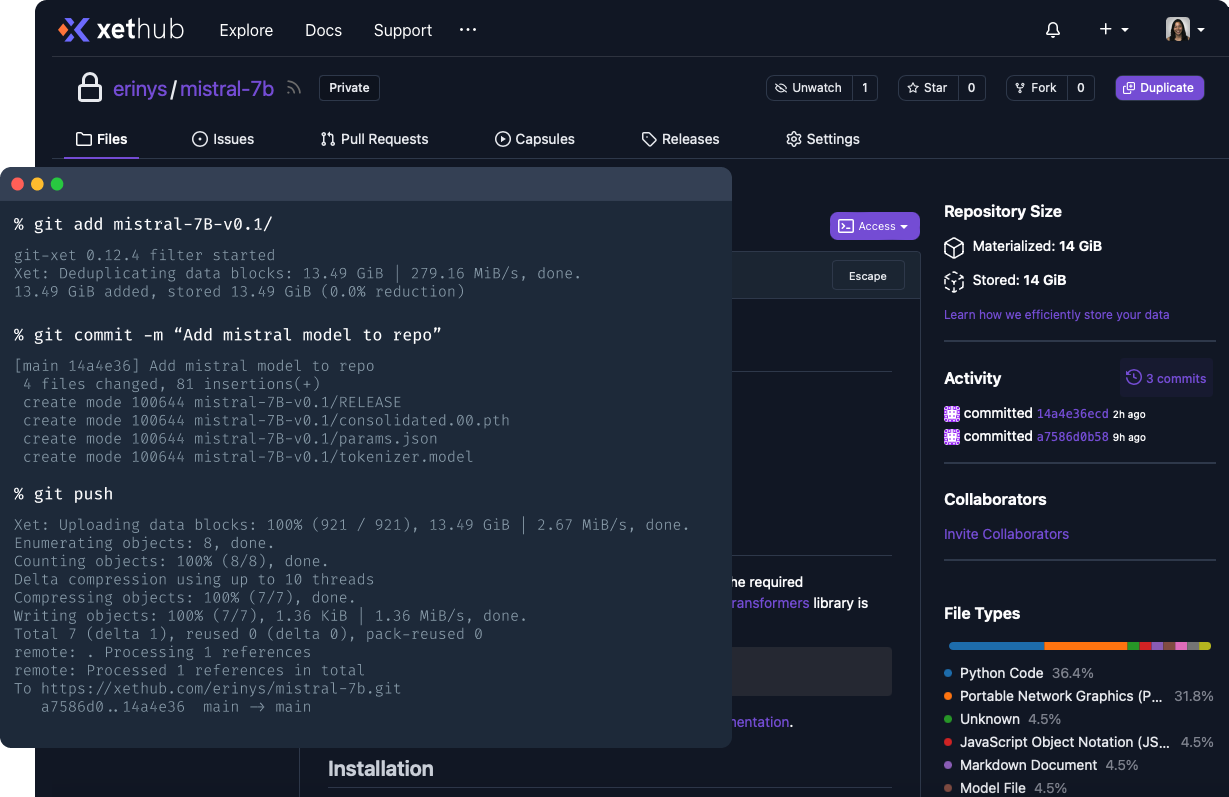 Mount terminal with Llama2 repository in the background