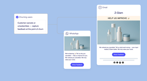 Exit Feedback Campaigns