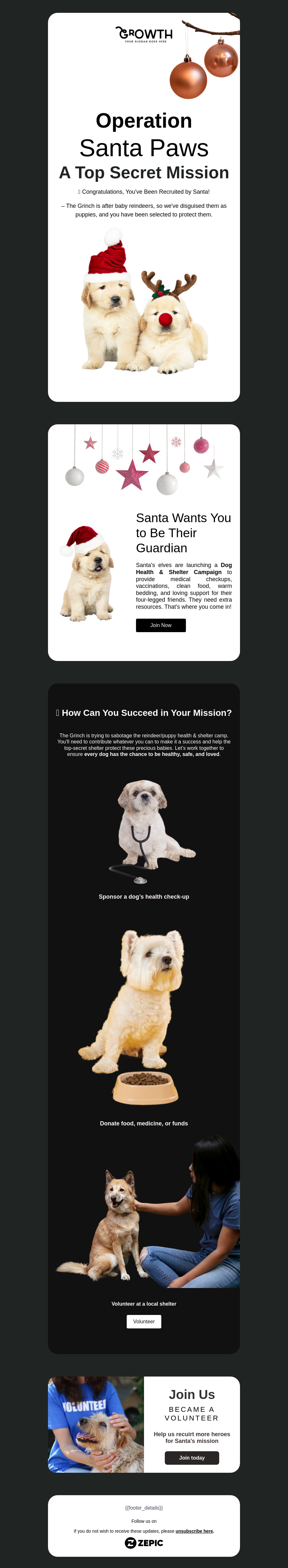 Pet Fundraiser-Christmas Campaign