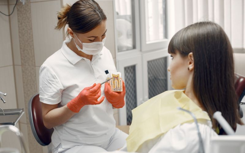 Lekarka dentystka pokazuje pacjentce na modelu zęba budowę kanałów korzeniowych