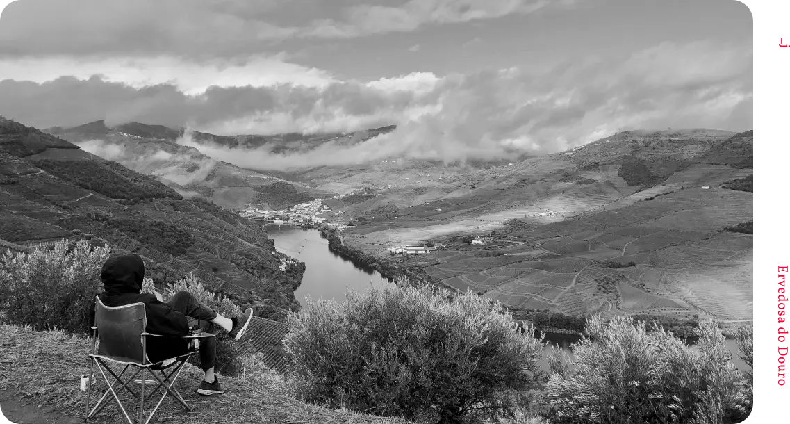 A photograph taken of a designer overlooking a rolling landscape vista