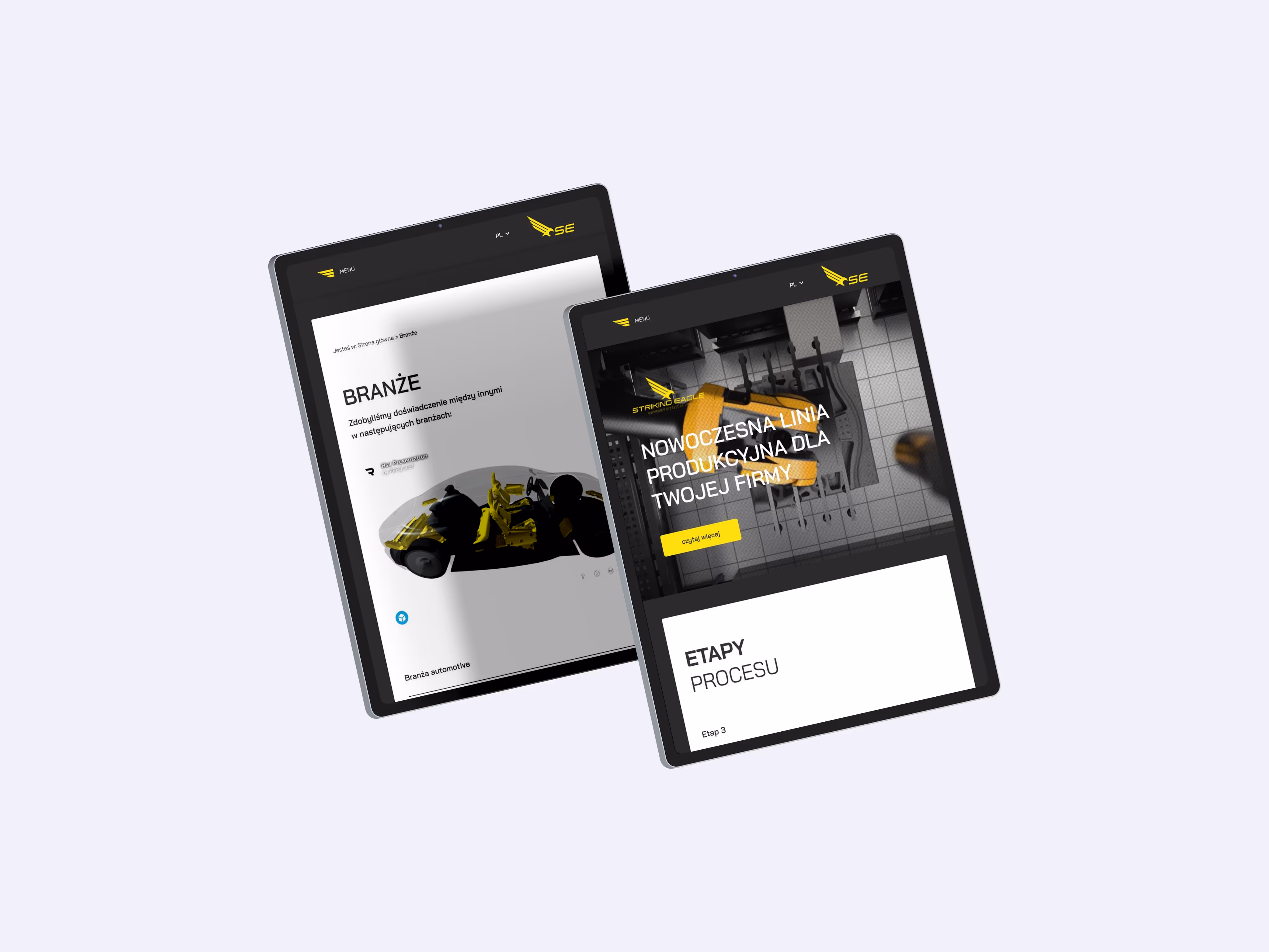 striking eagle img 3