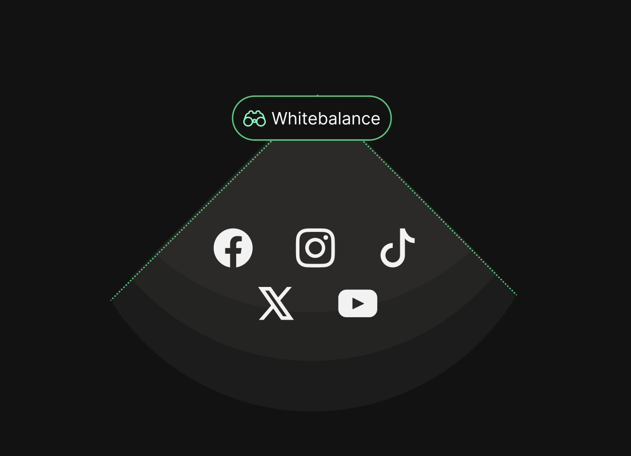 Diagram showing whitebalance coverage across social media platforms