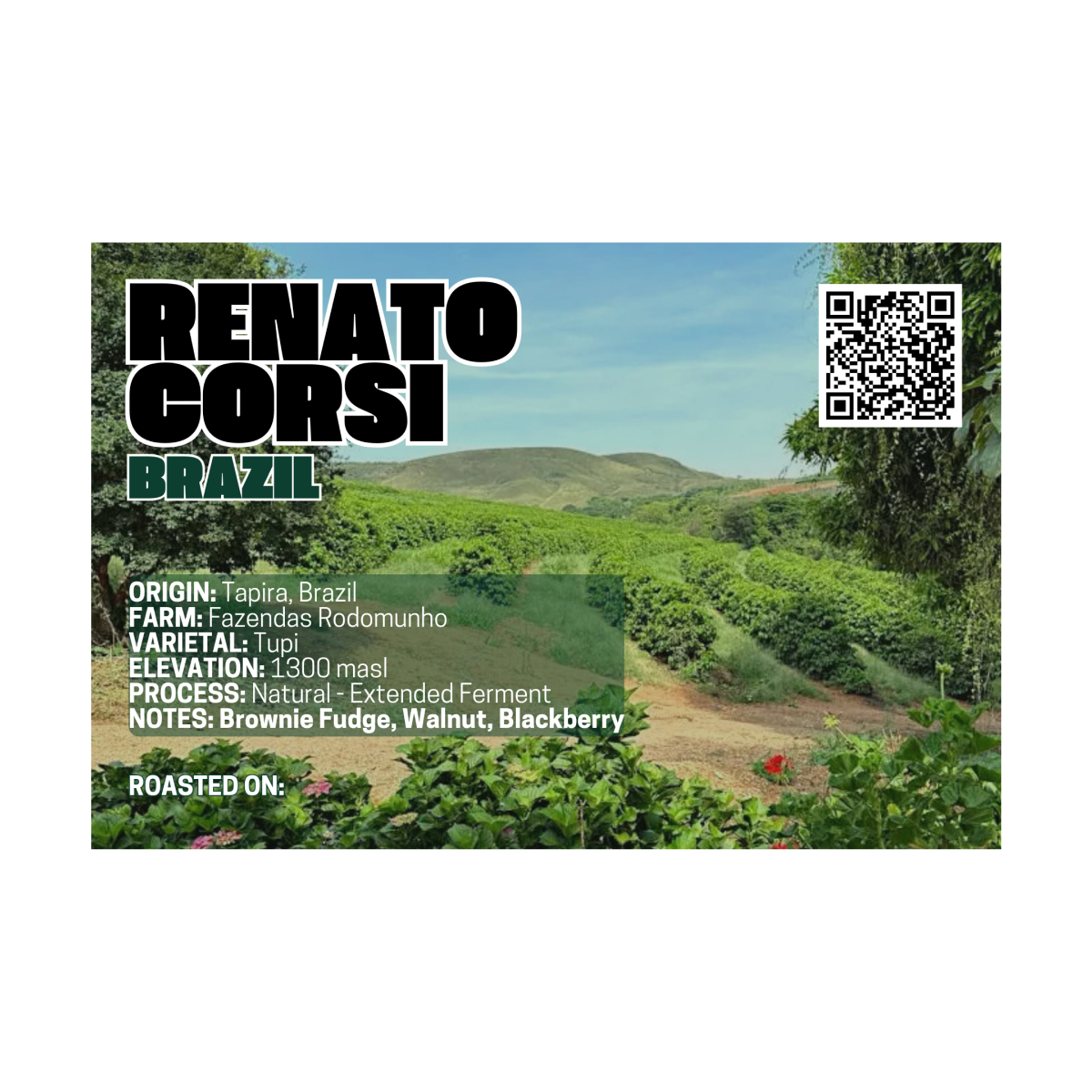 Brazil - Renato Corsi