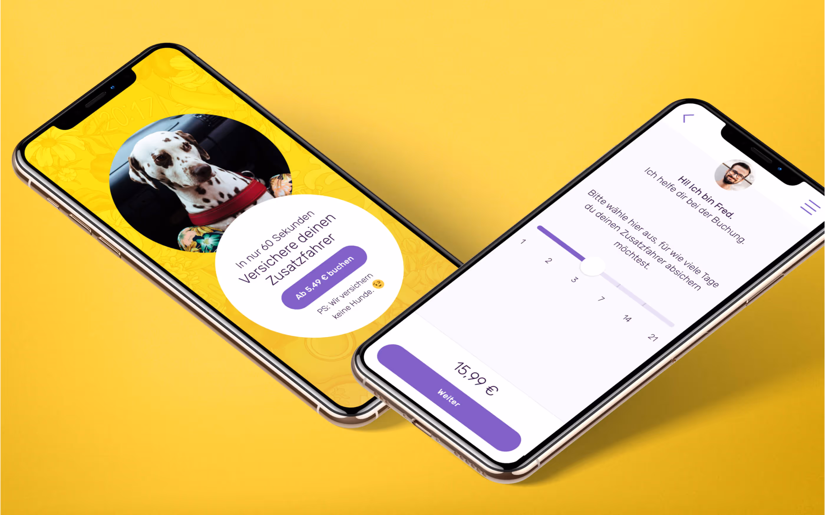 Mobile view of the website for Friday shows a dog in the car and the onboarding funnel