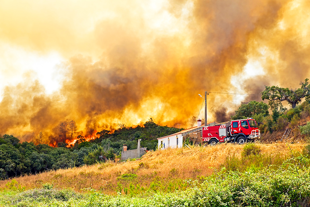 New XDI Benchmark Report warns of escalating forest fire damage risk across Europe