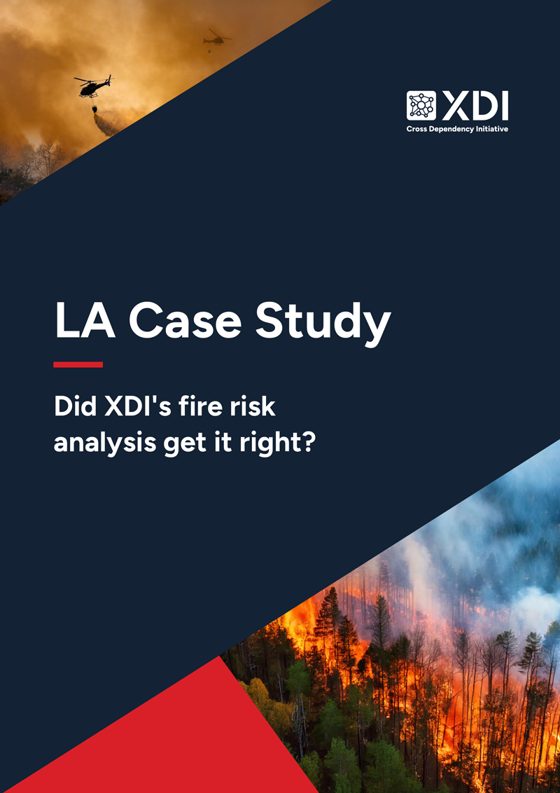 LA Fires Case Study