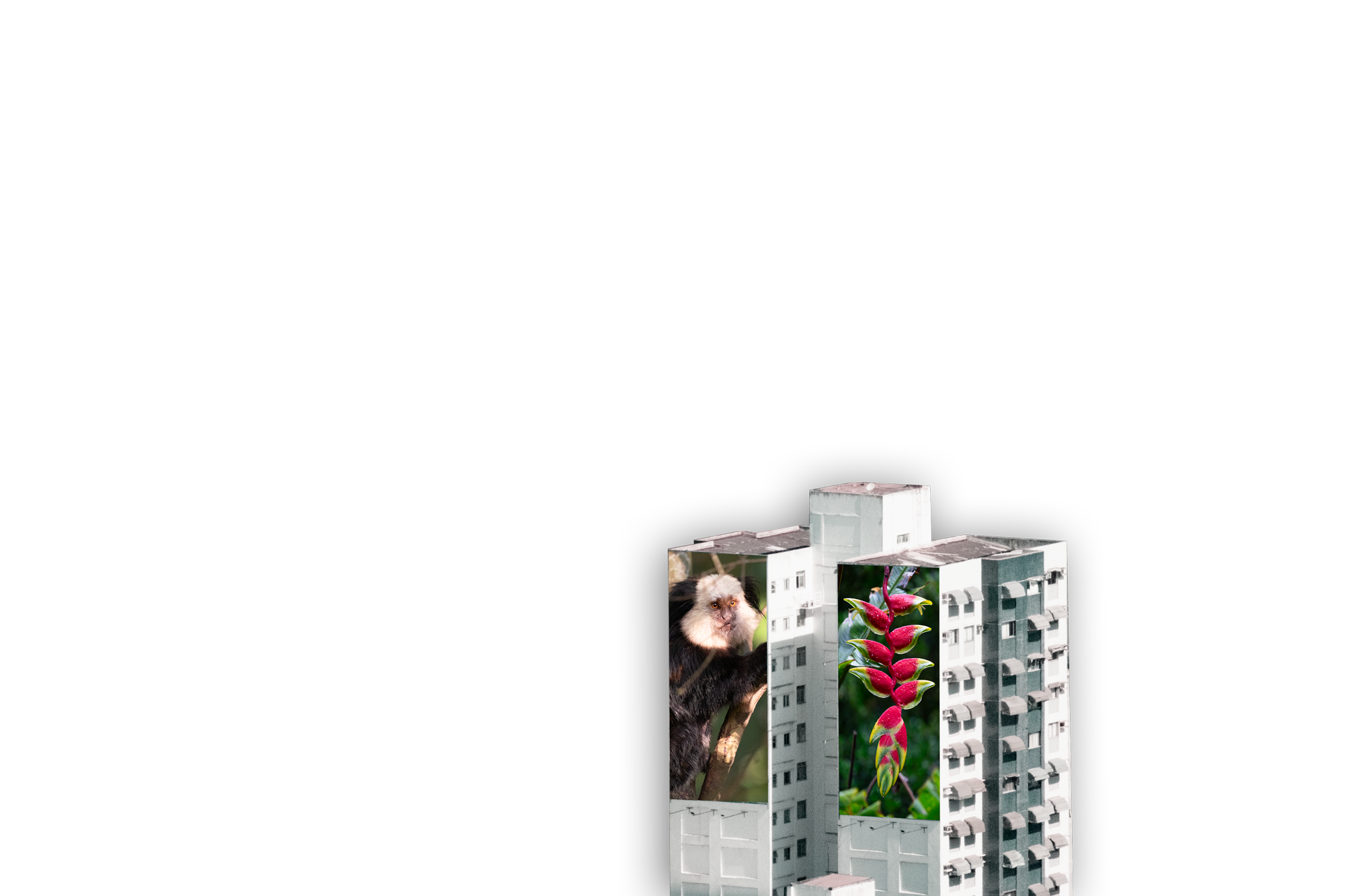 Skyscrapers with a monkey and a flower.