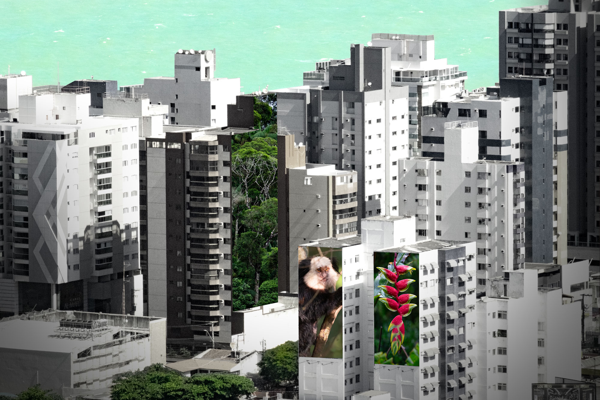 A city of skyscrapers with the ocean in the background.