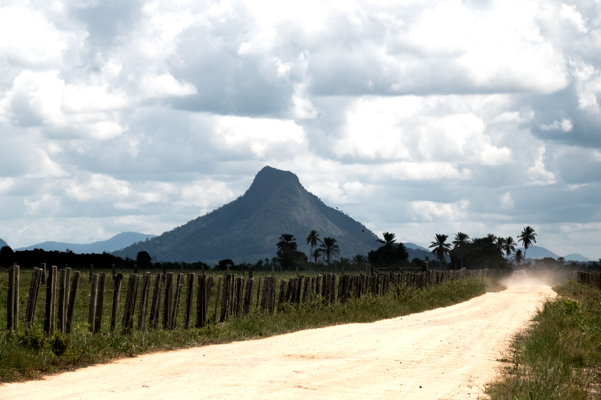 mountain with tropical forest