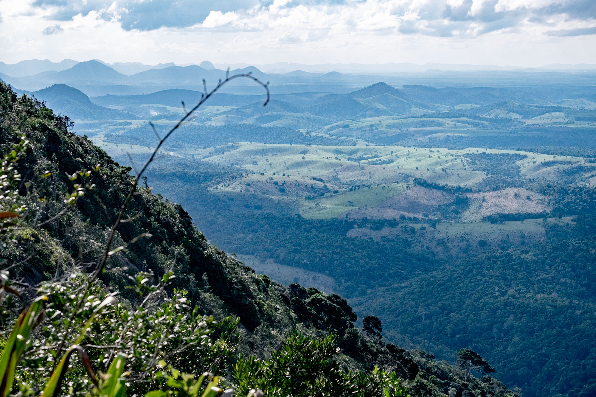 mountain with tropical forest