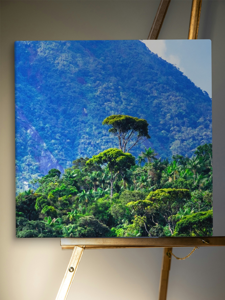 canvas print of tropical forest mountain