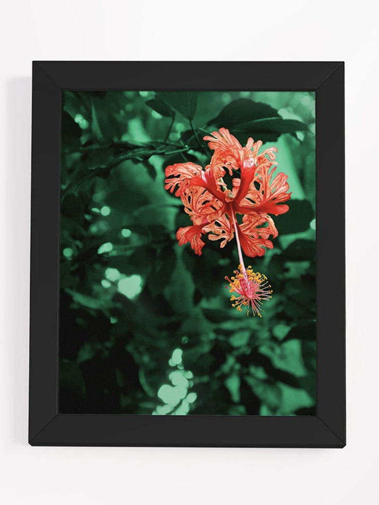 red flower in a tree