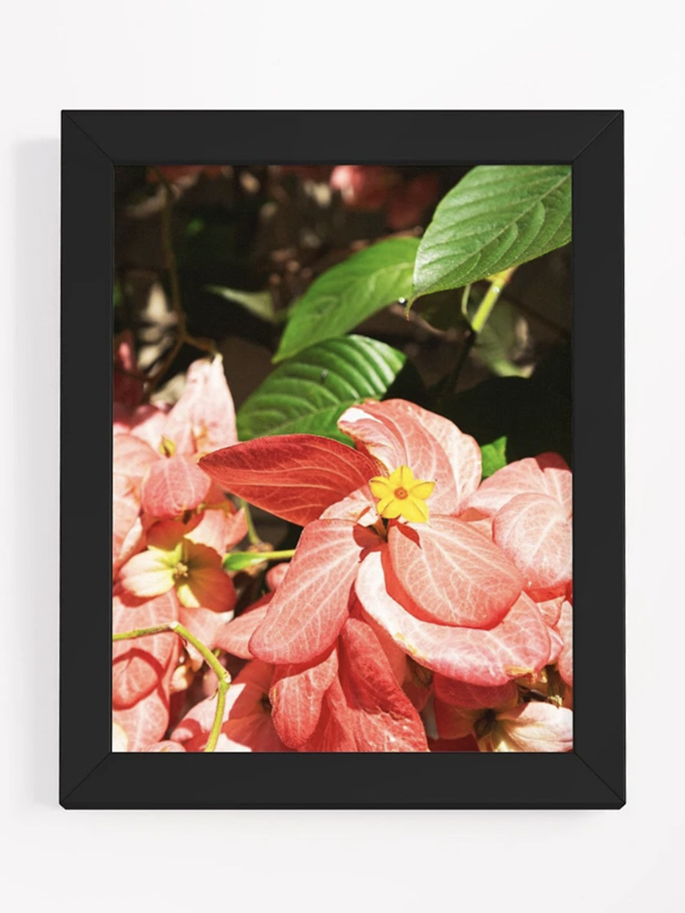 pink and yellow flower tree